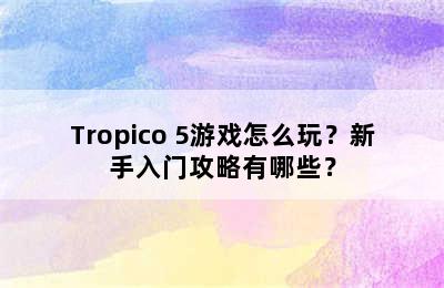 Tropico 5游戏怎么玩？新手入门攻略有哪些？